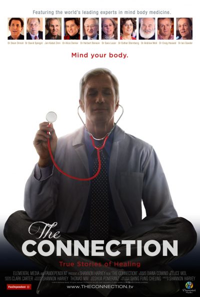 The-Connection