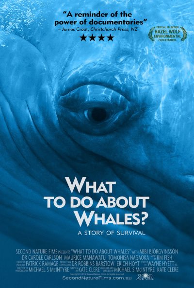 What-To-Do-About-Whales